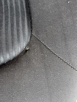 фото thumb №9, Сидіння лівий правий перед переднє audi a4 b8 чорний водія пасажира