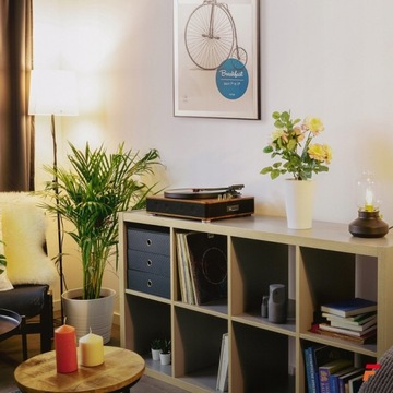 Gramofon z głośnikami USB bluetooth Fenton Winyl