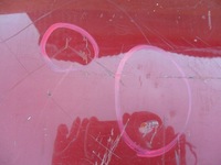 фото thumb №8, Suzuki grand vitara ft/gt 1998-2004 капот