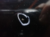 фото thumb №8, Капот audi a4 b8 avant 2008r 3.0 tdi eu l8l8 lz9y 10361