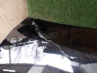 фото thumb №13, Micra k13 10-13 кришка багажника задня бампер лампи задня kh3g