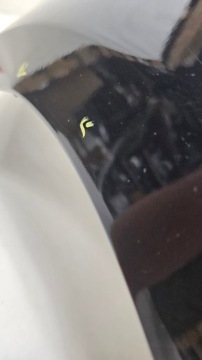 фото thumb №8, Крило перед переднє лівий seat ibiza iv 4 оригінал