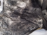 фото thumb №13, Audi q7 4l 07r стіна перегородкова шумоізоляція 7l6819523c