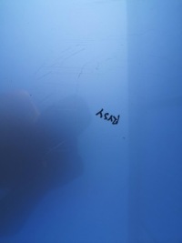 фото thumb №7, Капот крышка двигателя peugeot 3008 i 09-12