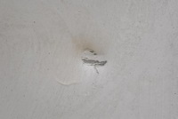 фото thumb №6, Дверь задние левая крыло белый peugeot boxer 3 iii lift 14-