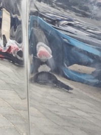 фото thumb №8, Bmw 7 g11 g12 дверь правое перед передние