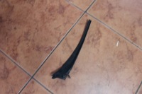 фото thumb №1, Peugeot expert iii завершение жабо оригинал 21 r0k