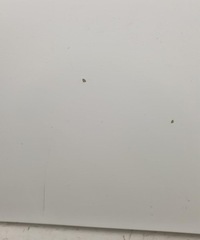 фото thumb №5, Капот перед передняя 249 peugeot boxer i