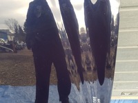 фото thumb №6, Капот mercedes w211 c359 359