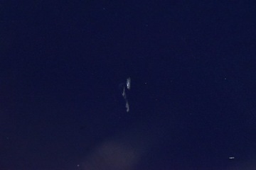 фото thumb №7, Капот крышка двигателя тёмно-синяя tesla модель 3 17-21