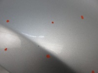 фото thumb №10, Крило праве передній kia ceed i sw ed 9s