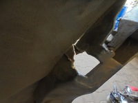 фото thumb №3, Крыло передний левый land rover freelander 608