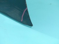 фото thumb №12, Дверь перед левая honda fr-v