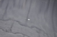 фото thumb №7, Bmw e70 двері лівий задня задні