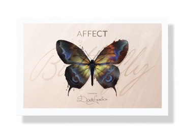 AFFECT Paleta do makijażu BUTTERFLY Dorota Gardias