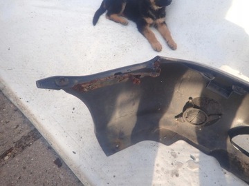 фото thumb №16, Kia carnival i 1 рестайлинг 02-05 бампер перед переднее