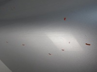 фото thumb №7, Крыло правые переднее vw touareg i la7w