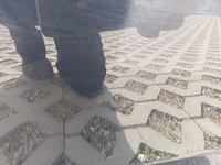 фото thumb №12, Дверь левый задняя audi a4 b8 чёрные lz9y