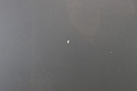 фото thumb №11, Капот кришка перед audi a6 c6