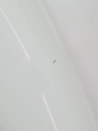 фото thumb №7, Дверь правое перед белый lift fl fiat doblo ii 2009-