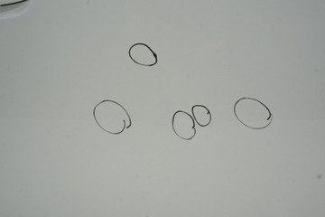 фото thumb №6, Toyota avensis t27 рестайлинг t29 дверь правые перед 040