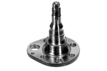 фото thumb №1, Meyle шкворень поворотный кулак seat arosa 1.0 6h