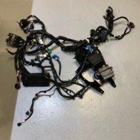 фото thumb №1, Renault scenic v e-tech джгут електропроводка динамік балончик коробка лампи