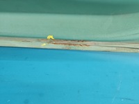 фото thumb №16, Кришка скло багажника зад hyundai getz