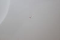 фото thumb №7, Капот кришка двигуна bmw x3 e83 a300 alpinweiss