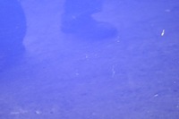 фото thumb №11, Hyundai i20 двері лівий перед ліва передні 3d