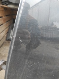 Lexus is 2 рестайлинг  f-sport 1g1 дверь задняя задняя голый Доставка, фото thumb