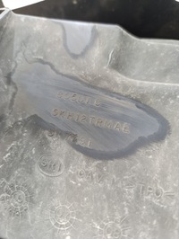 фото thumb №14, Dodge nitro решётка радиатора решётка радиатора перед передний лампа правая передняя om super состояние!