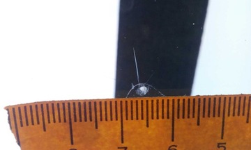 фото thumb №7, Скло лобове vw crafter man tge 2016- оригінальна