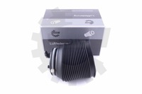 фото thumb №1, Esen skv 58skv005 подушка воздушная, подвеска