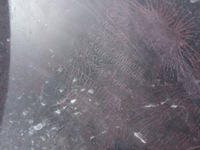 фото thumb №16, Hyundai i20 2014-18- бампер перед 86511-c8000/010