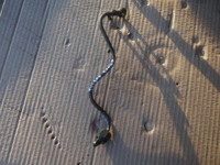 фото thumb №1, Шланг турбины tucson 2,0 crdi 07r