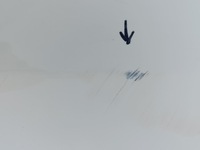 фото thumb №7, Mercedes e-klasa w213 универсал дверь левая задние зад 2137320310