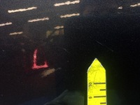 фото thumb №9, Renault megane iv kombi 16- дверь задняя правое задние tekpn