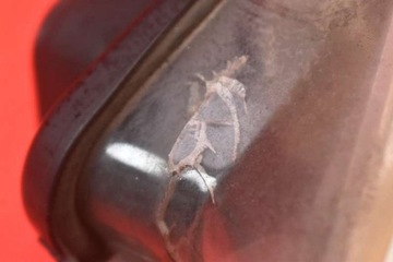 фото thumb №15, Фара лівий лампа перед лінза eu 9681834880 peugeot 307 05-08