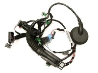 фото thumb №1, Vw arteon жгут дверь правый задняя 3g8971694h