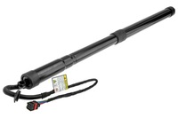 фото thumb №1, Амортизатор кришки багажника nty land rover range