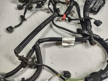 фото thumb №9, Renault kadjar 16r- жгут двигателя 240113190r