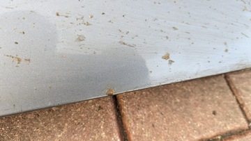 фото thumb №8, Двері передні перед праві opel zafira b z155