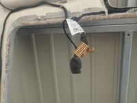 фото thumb №12, Audi q7 15- потолок панорама usa