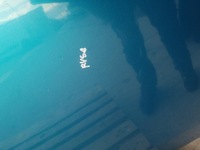 фото thumb №12, Кришка зад peugeot 307 cc cabrio колір kmud рестайлінг 06-09