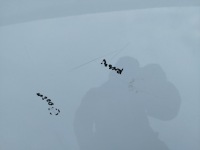 Капот крышка двигателя renault scenic 3 3 рестайлинг  2012-2016 цвет dv369 Недорого, фото thumb