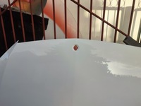 фото thumb №9, Капот крышка стальной mercedes klasa c w205 01.14-08.21r лак 149 9149