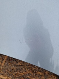 фото thumb №6, Капот кришка двигуна opel insignia a z179