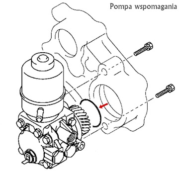 Уплотнительные кольца насоса, комп. насоса. ПАДЖЕРО III 3.2