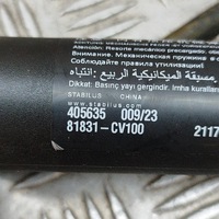 фото thumb №6, Kia ev6 2021 права сторона амортизатор кришки задній багажника